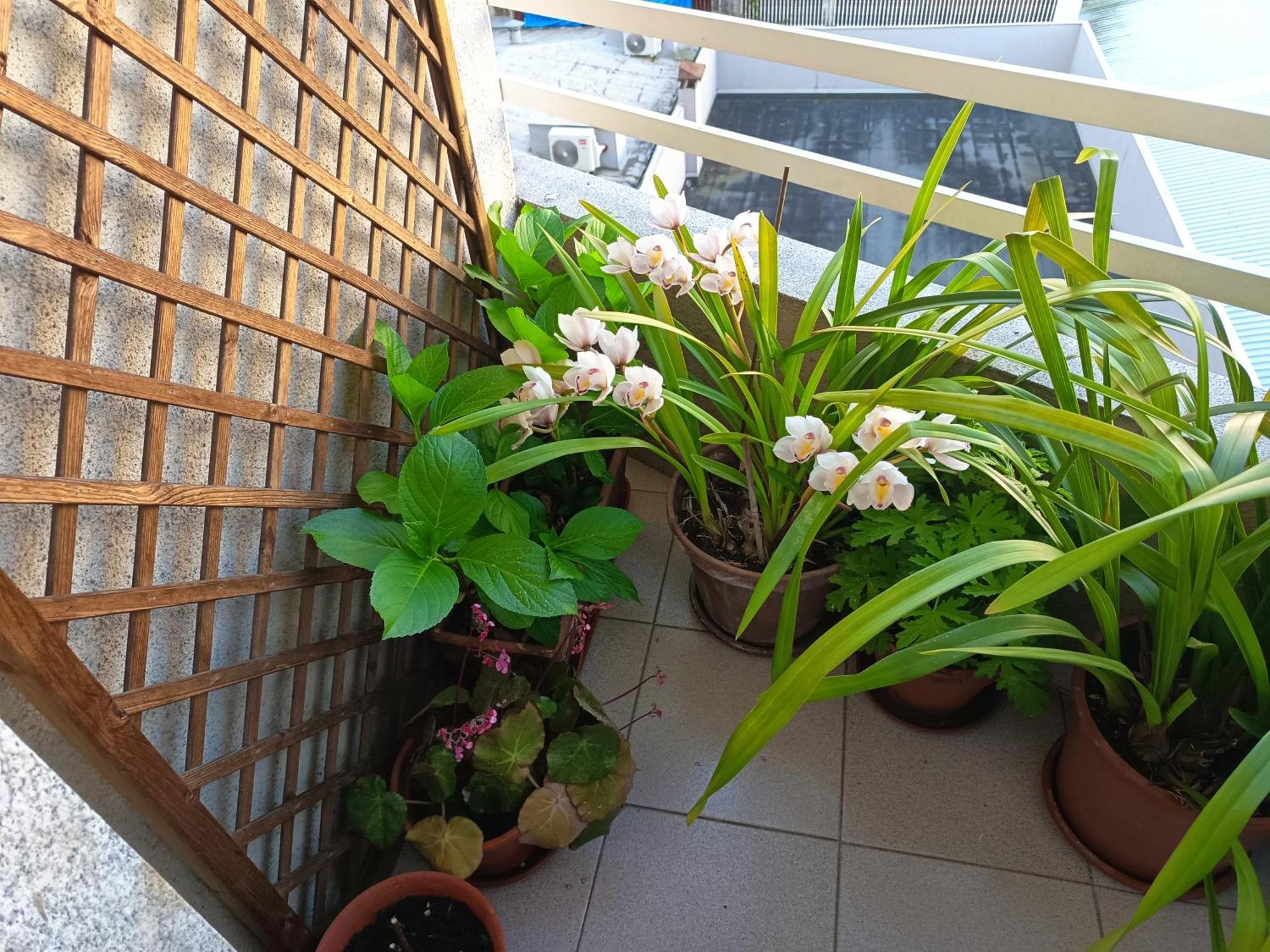 Vivienda Caseiro Ourense Dış mekan fotoğraf