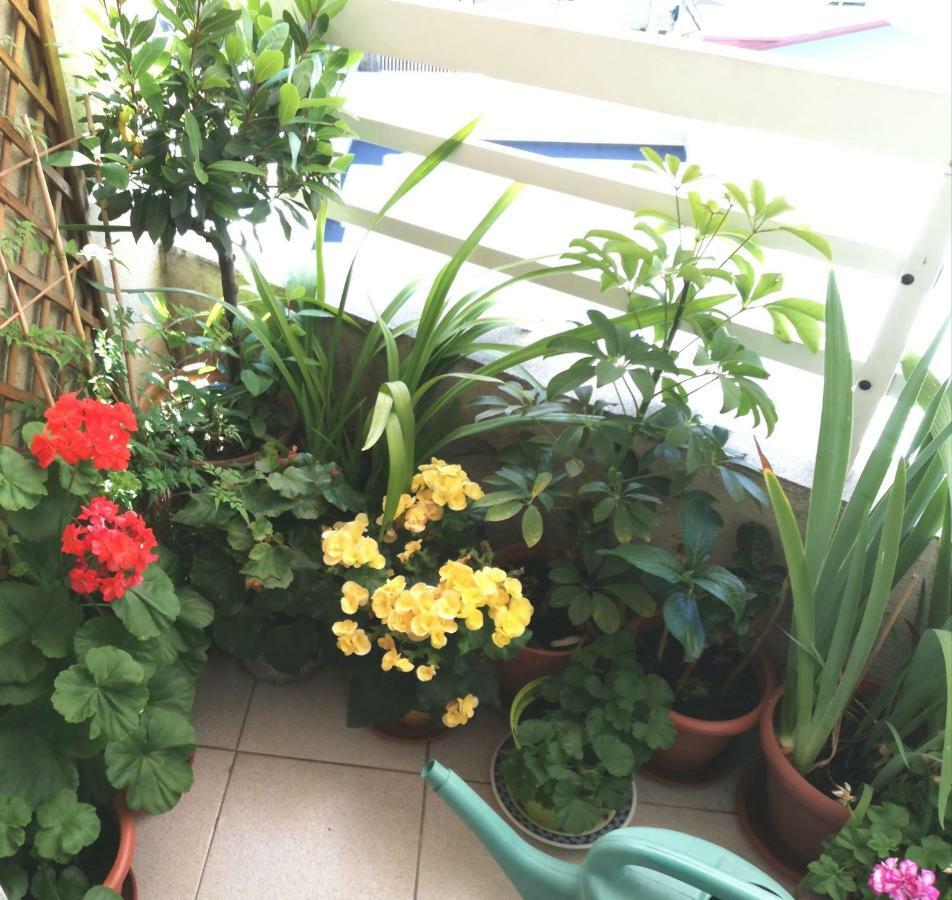 Vivienda Caseiro Ourense Dış mekan fotoğraf
